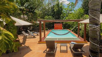 A pool area with lounge chairs and umbrellas, surrounded by tropical plants.