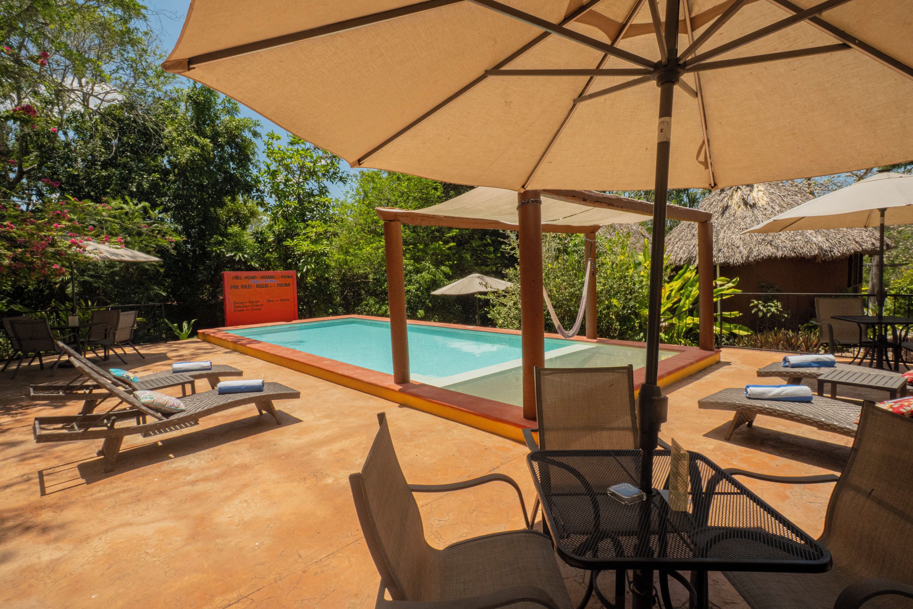 A poolside area with lounge chairs, umbrellas, and a pool.