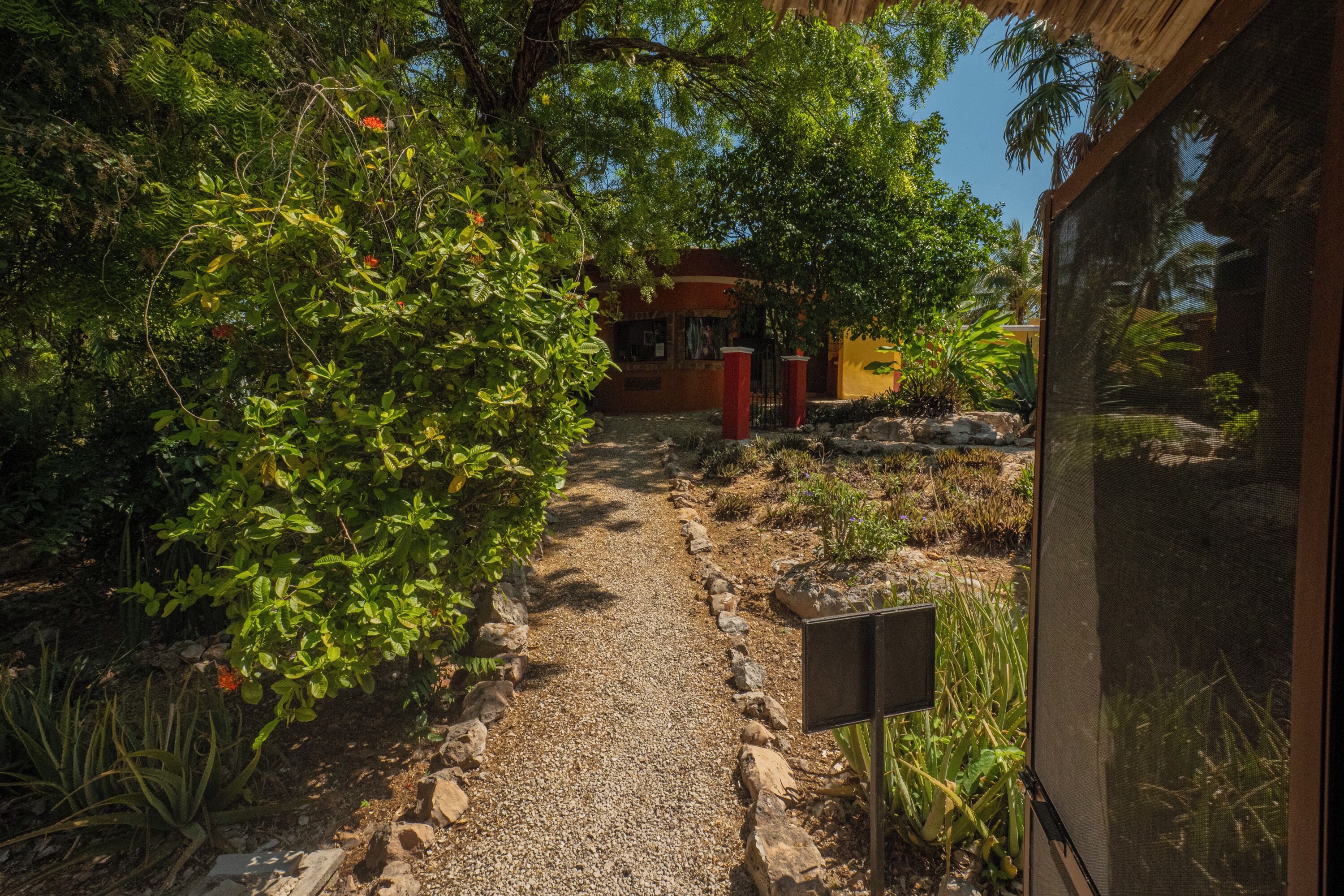 Un sendero de jardín que lleva a un edificio con una puerta roja, rodeado de plantas y rocas.