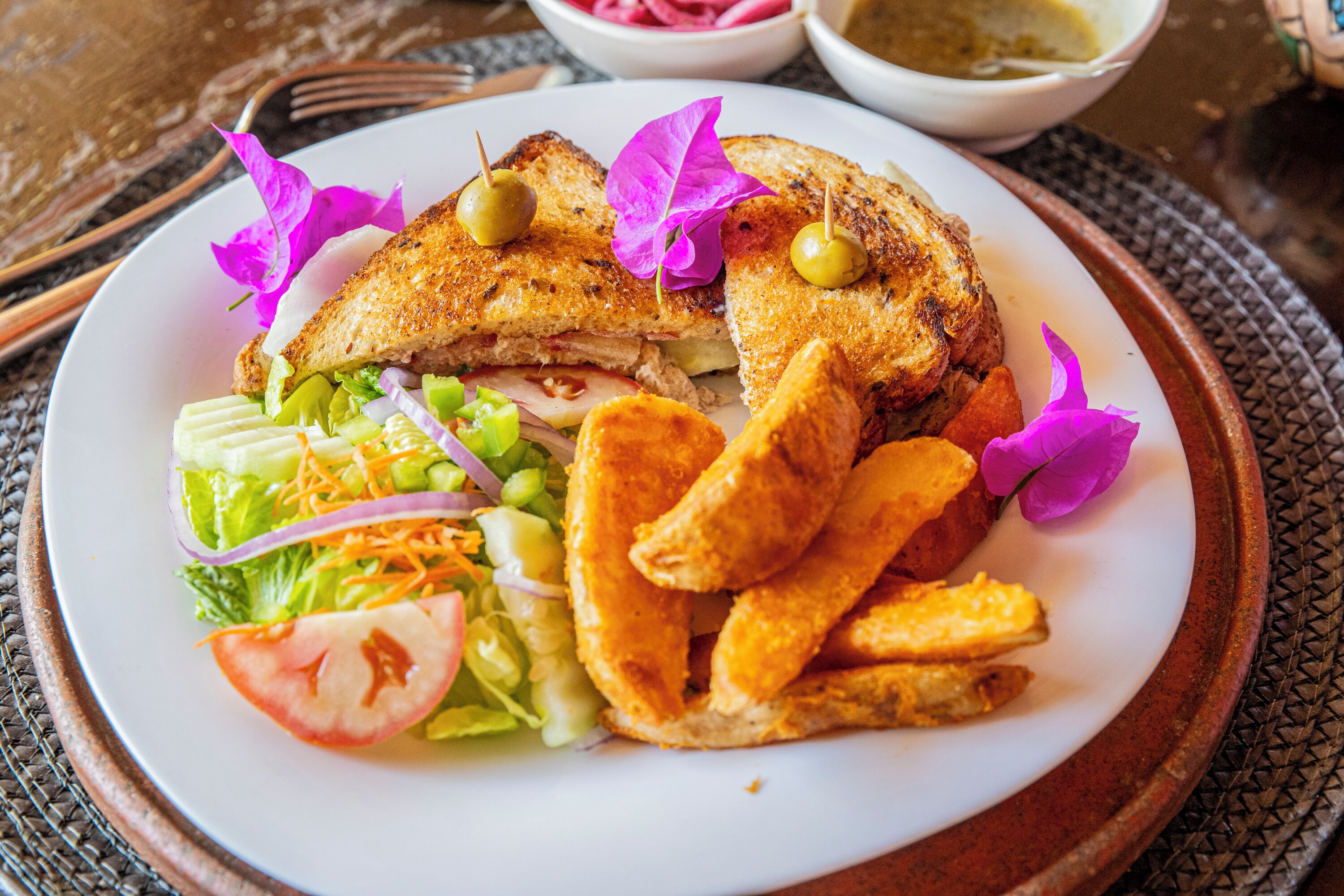 Un plato con un sándwich, papas fritas y una ensalada.