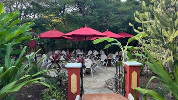 Un patio jardín con mobiliario exterior bajo sombrillas rojas, rodeado de plantas diversas y un cactus.
