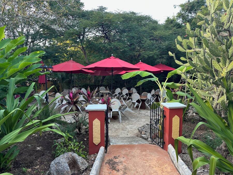 Un patio jardín con mobiliario exterior bajo sombrillas rojas, rodeado de plantas diversas y un cactus.