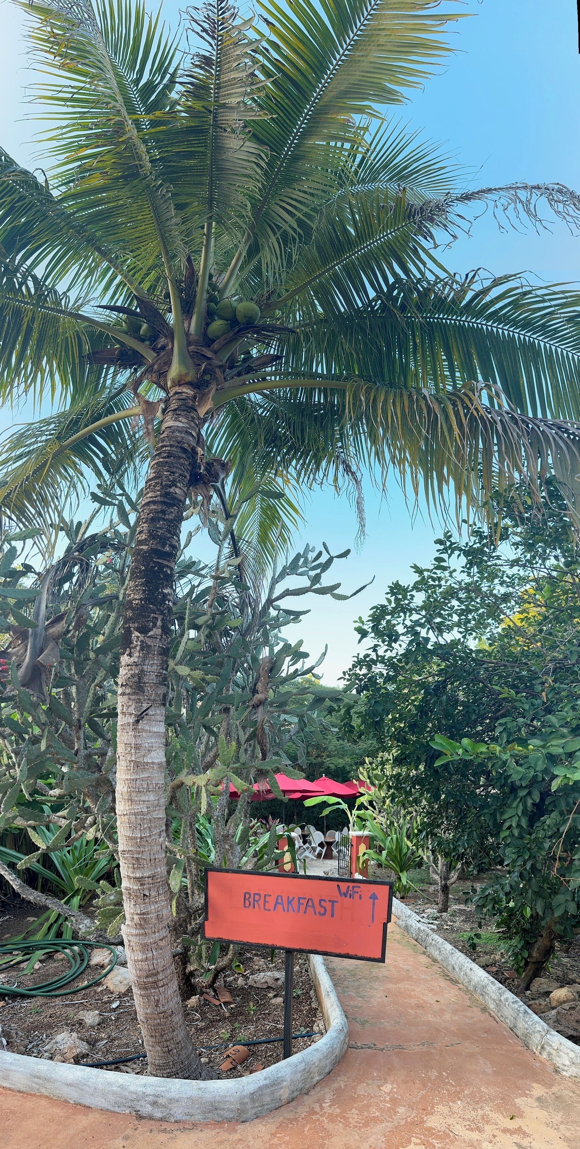 包含每日欧式早餐