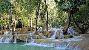 Una formación acuática natural con múltiples cascadas en cascada, rodeada de árboles.