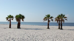 A sandy beach with four palm trees and a clear blue sky. - Legacy Tower I Unit 302 | Overlooking the Beautiful Gulf! (Gulfport)