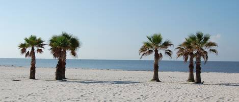 Playa