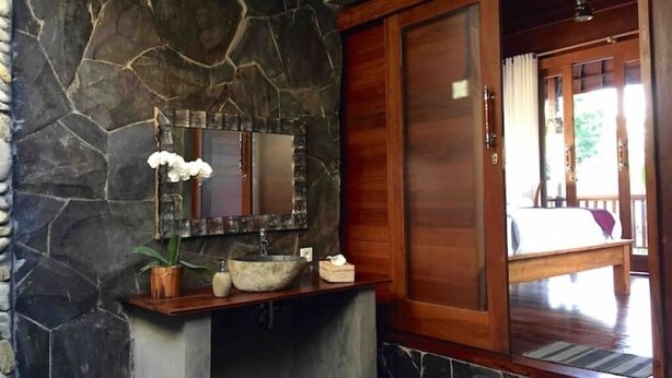 Um banheiro com parede de pedra, porta de madeira, pia com espelho e um vaso de planta.