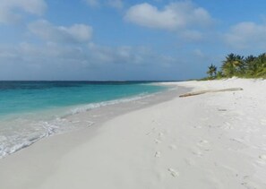Una playa impecable de arena blanca, agua turquesa cristalina y palmeras al fondo.