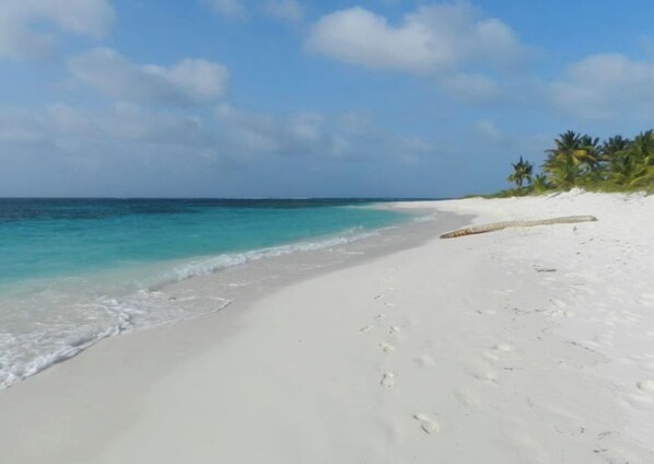 On the beach, sun loungers, beach towels - Stunning Seaside Beach, Breeze, Cozy, Studio Condo on Sandy Hill Beach (The Valley)