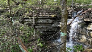 A hammock tied between trees in a forested area with a small waterfall and rocky terrain. - Unplug and hide from the world in this rustic South Pittsburg cabin (South Pittsburg)