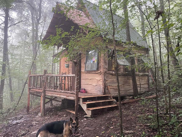 Exterior - Unplug and hide from the world in this rustic South Pittsburg cabin (South Pittsburg)