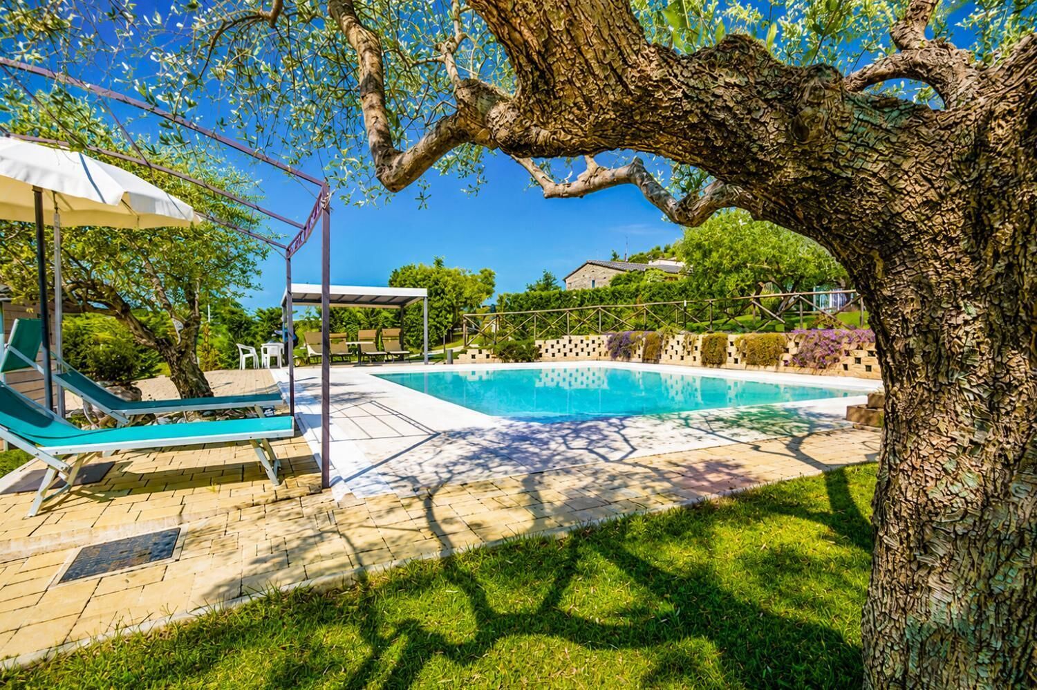 A swimming pool with lounge chairs and a pergola, surrounded by a well-maintained lawn and trees.