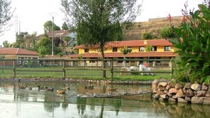 A pond with ducks, surrounded by a fence and stone walls.