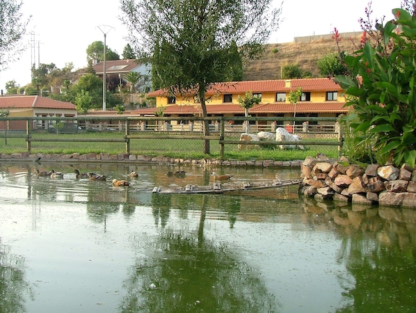 منوع