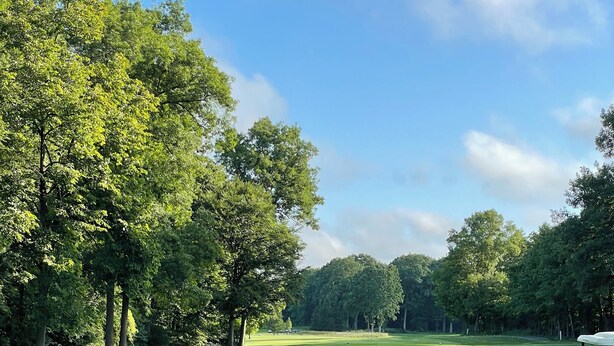 A golf course with a well-maintained green, a curved path, and a golf cart.