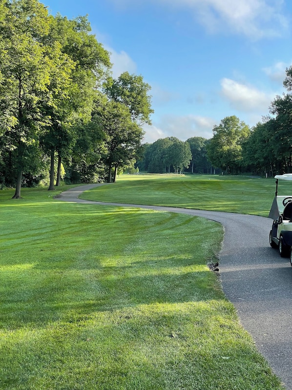 Ein Golfplatz mit gepflegtem Grün, einer gewundenen Wege und einem Golfwagen.