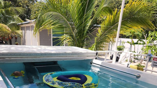 A swimming pool with a blue and yellow inflatable ring, surrounded by palm trees and a covered area. - Cozy 1-bedroom studio in pleasant hollywood with AC (West Park)