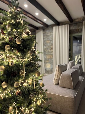 Interior - Luxury VIlla Maria with private SPA (Koper)