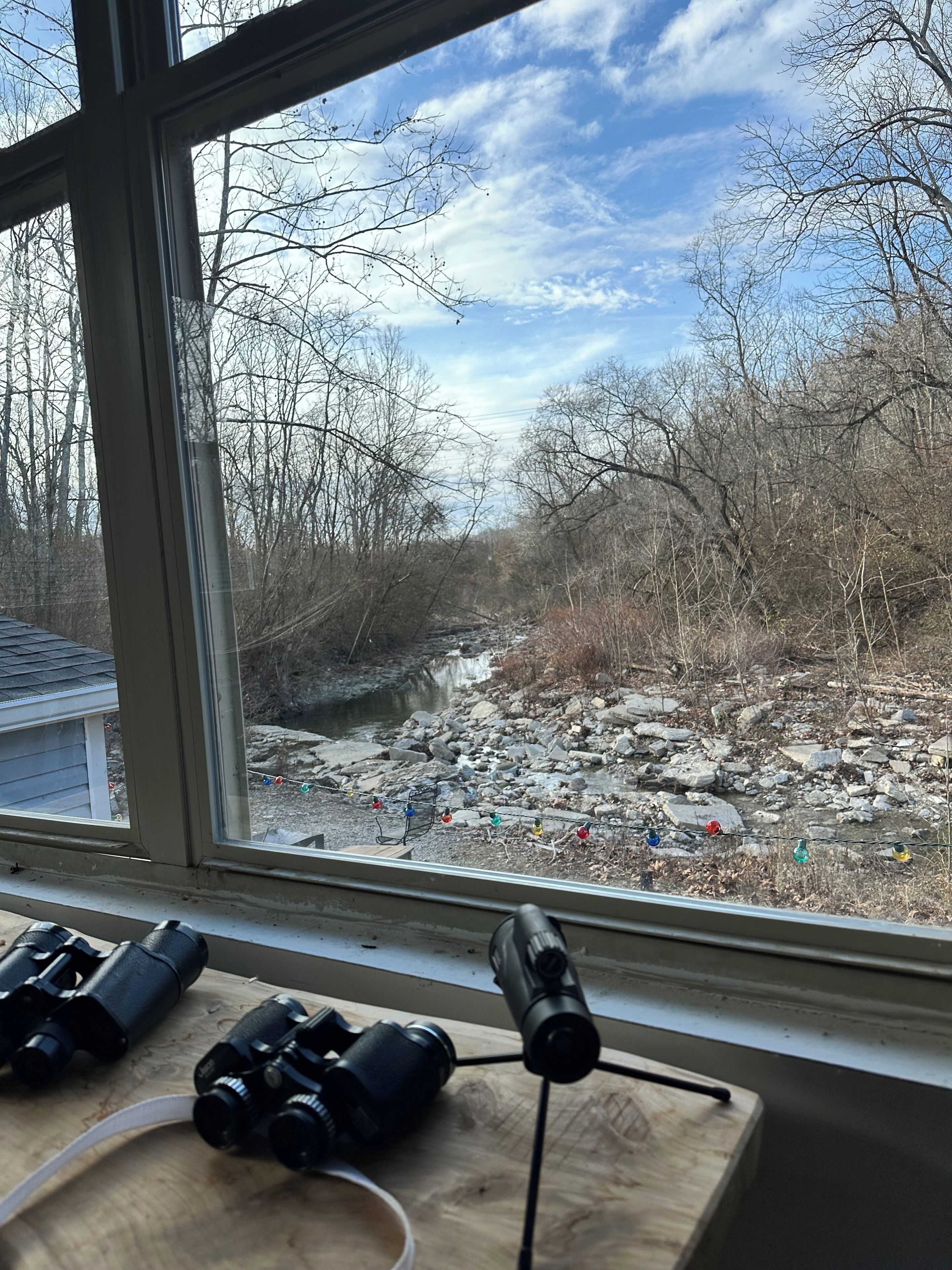 A window view of a rocky stream with bare trees, binoculars, and a tripod on a wooden surface.