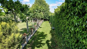A pathway lined with trees and a hedge on one side. - Rural House La Casita (Ciudad Rodrigo)
