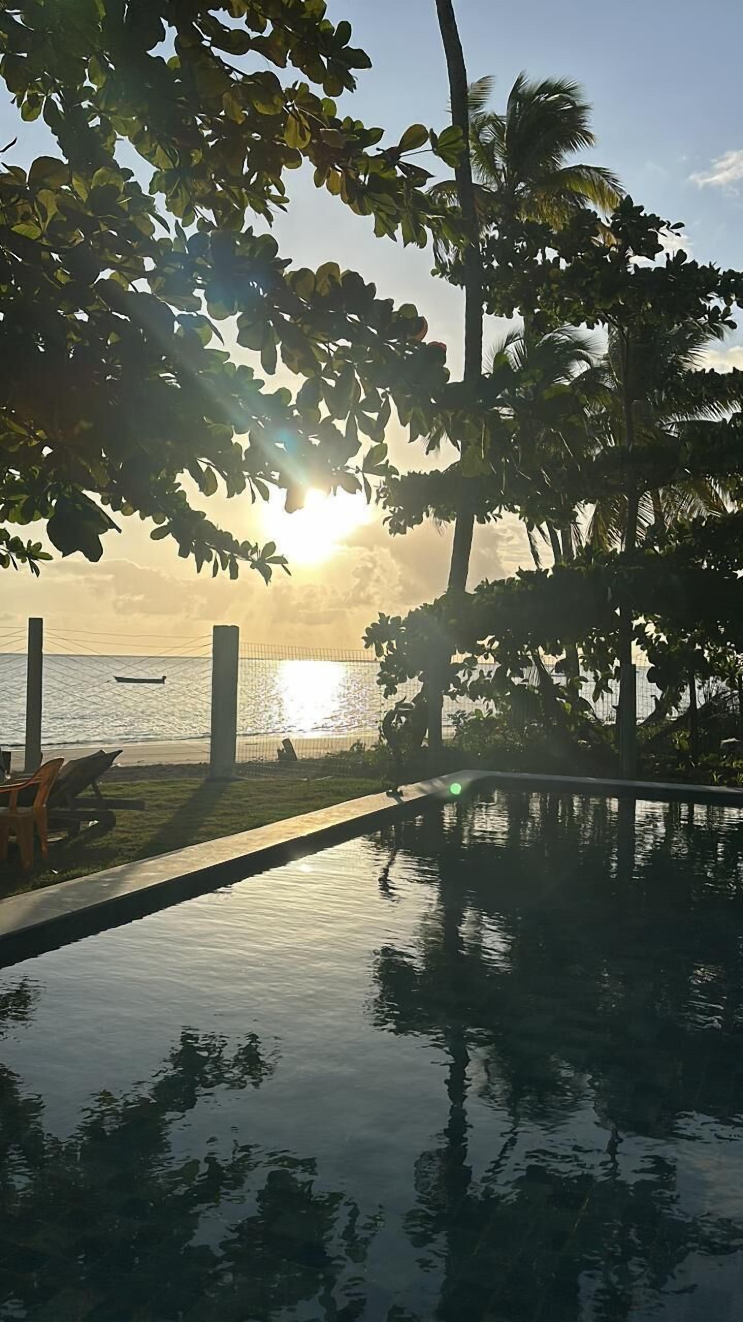 Piscina con vistas a la puesta de sol sobre el agua, rodeada de palmeras y una valla.