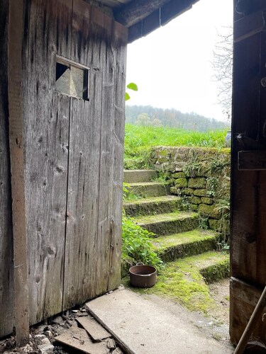 "la MAISON DE MA TANTE" plenty of romance from the French countryside