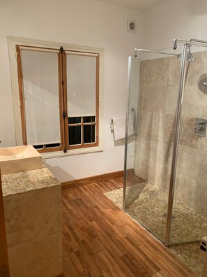 Shower, hair dryer, toilet paper