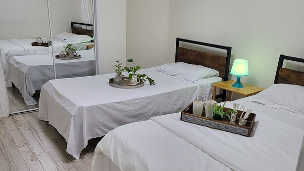Habitación de hotel con dos camas individuales, una mesita de noche con lámpara, una bandeja con plantas y un espejo grande.