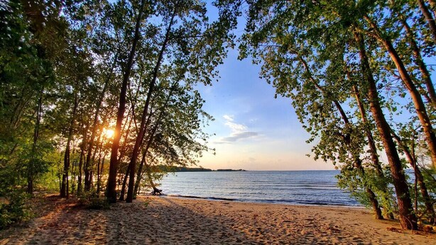 A beach with trees, a path, and a view of the sea.