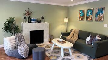 TV, fireplace, books