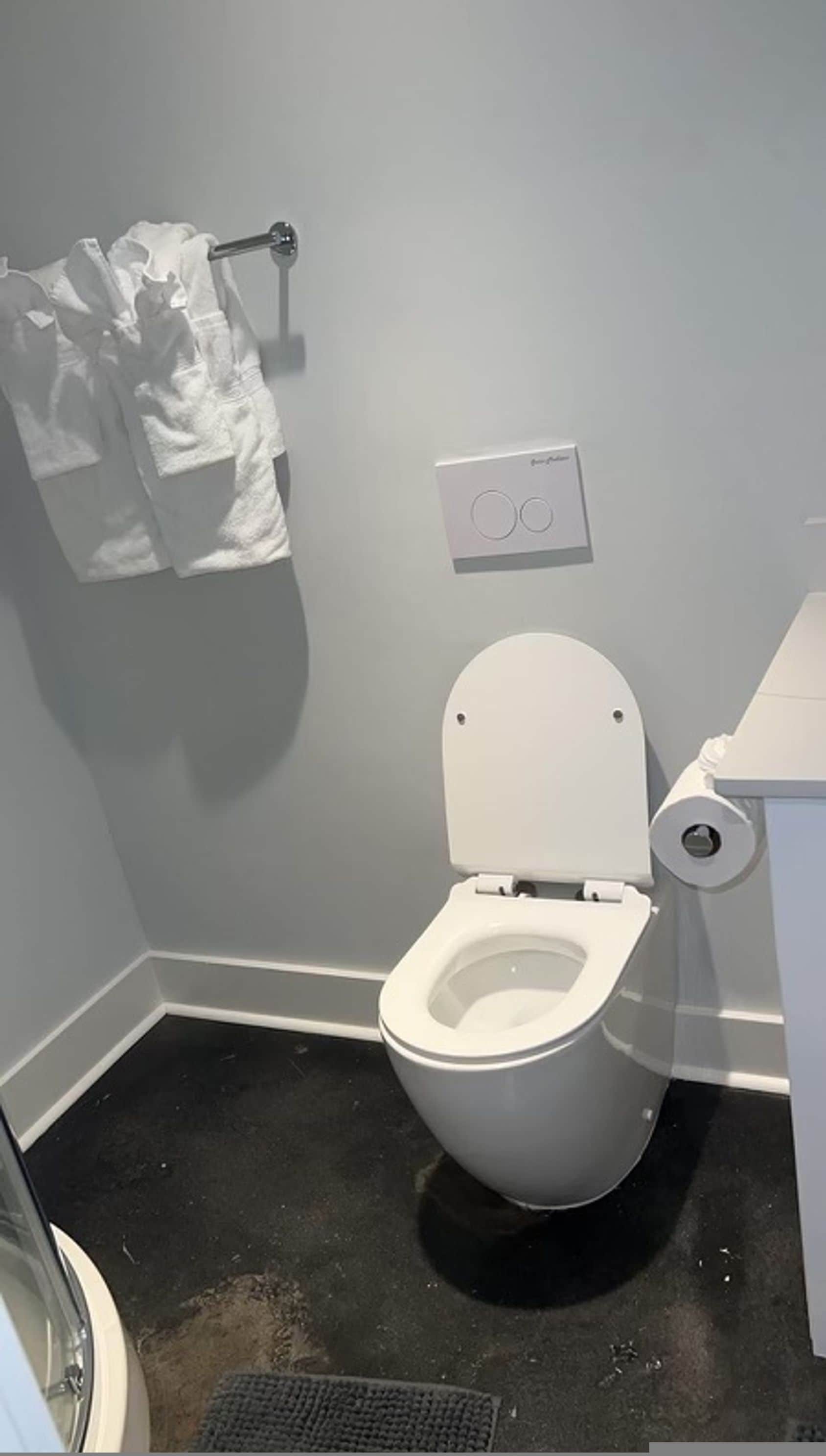 Kylpyhuone, jossa on wc, pyyheteline ja wc-paperiteline.