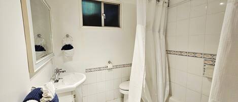 Une salle de bain avec un lavabo, des toilettes et une douche.
