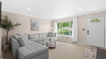 Fernseher, Arbeitsbereiche