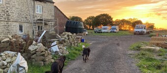Tranquil Lodge Retreat in Swindon