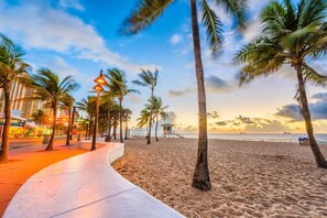 Stroll along the beachfront promenade lined with palm trees, leading to a scenic beach area with a lifeguard station.