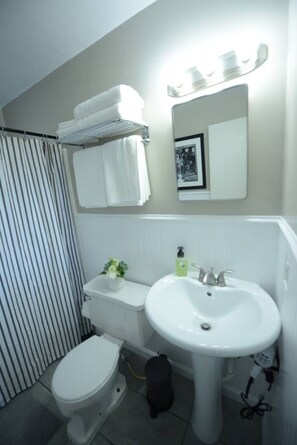 Hair dryer, towels, soap, toilet paper - Midtown Gem! Sleeps 3 Near Richmond and Montrose (Houston)