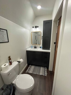 Hair dryer, towels, soap, shampoo