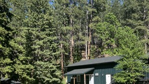 A lodge with a covered patio, surrounded by dense forest. - The Minnesota Ridge Cabin (Keystone)