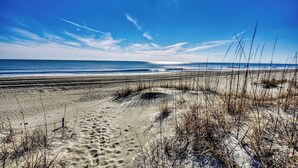 A beach with sand dunes and sparse vegetation.