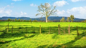 Un campo cercado con un árbol solitario y colinas a lo lejos.