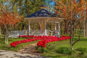 Property grounds - Golf Course Mansion-Pool-Massive TVs-Sonos surround sound-Sleeps 16+ (Conroe)