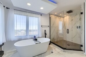 Shower, hair dryer - Mountain Top Mansion w/Bar, B-ball Court, 6BR, 3FB, 2HB, 2 Air mattress (Parker)