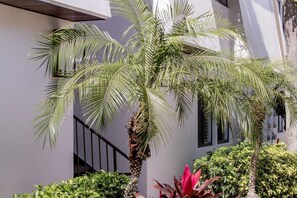 Detalle exterior