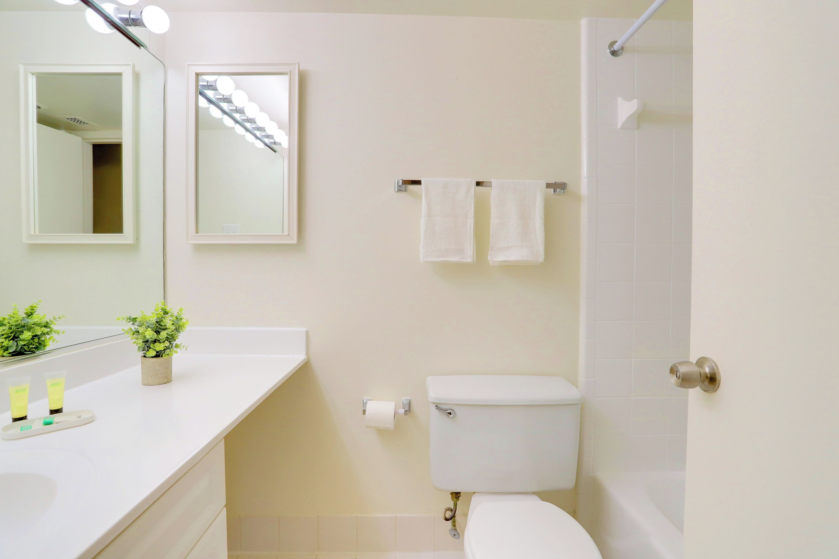 A bathroom with a toilet, a sink, a mirror, and a shower.