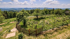 A vineyard with wooden structures and a fenced area, surrounded by lush greenery and distant mountains. - Hidden Authentic Haven Apartments - Two Bedroom Apartment with Balcony (Sevnica)
