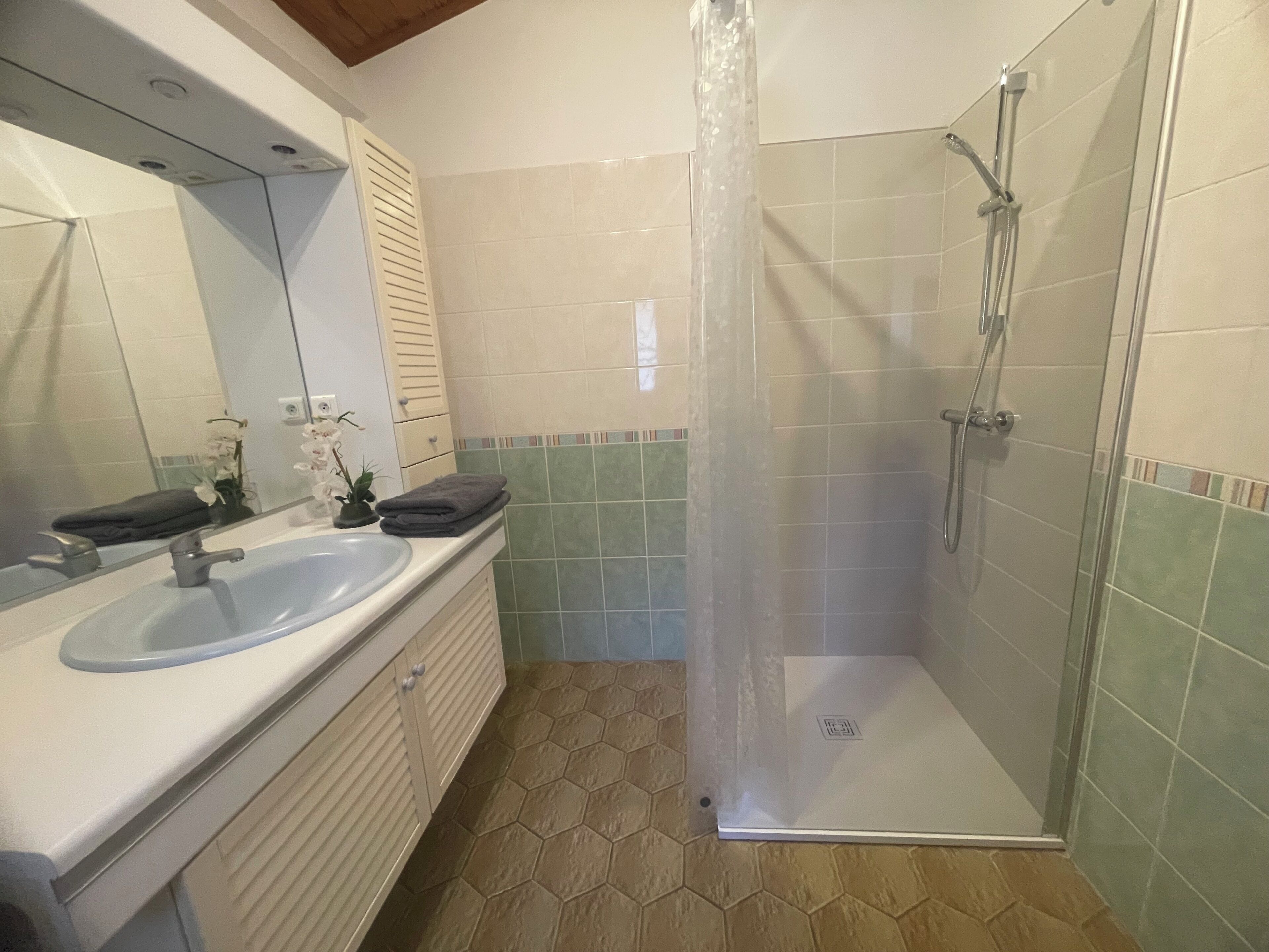 A bathroom with a shower, sink, and mirror.