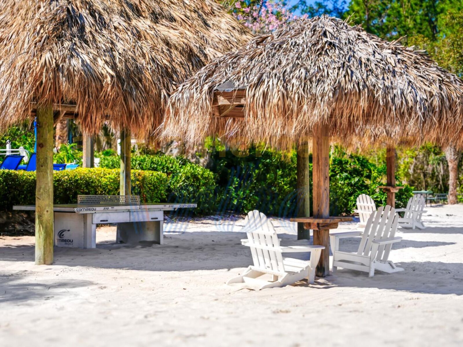 Jardines del alojamiento