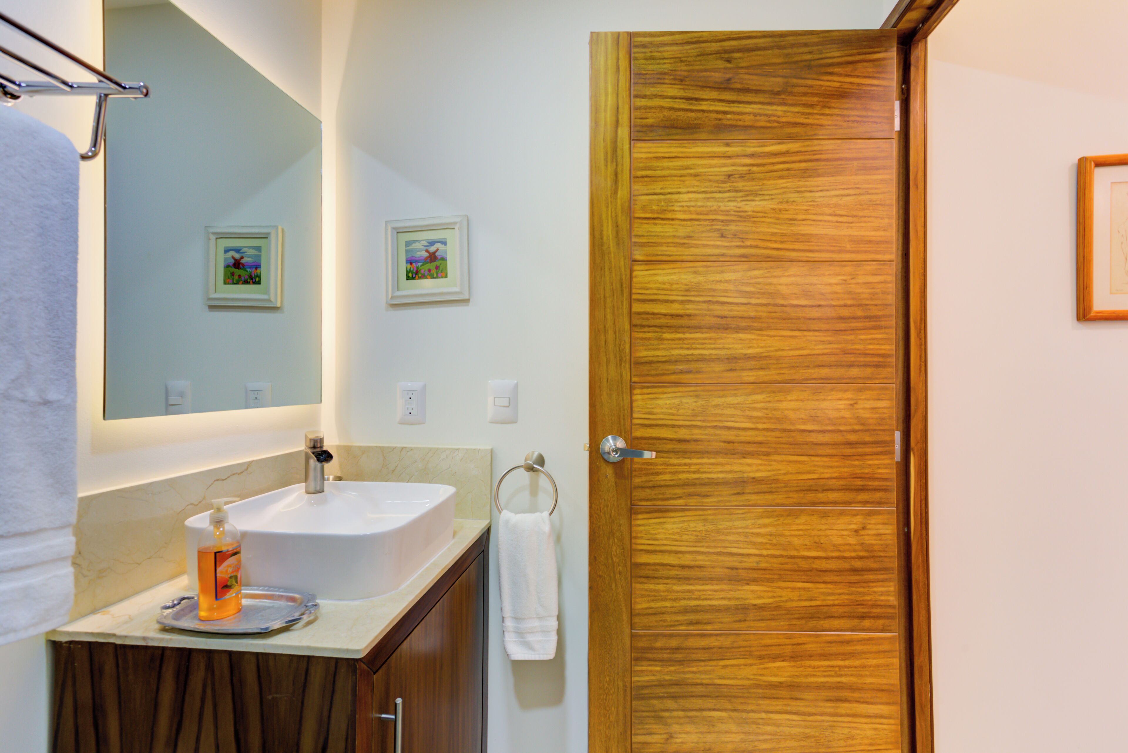 A bathroom with a sink, mirror, towel rack, and wooden door.