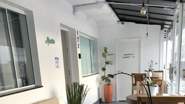 Un interior moderno con un sofá, una mesa redonda y plantas en macetas.