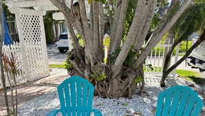 Two turquoise Adirondack chairs placed on a grassy area with a white potted plant nearby.